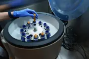Biosystem Development